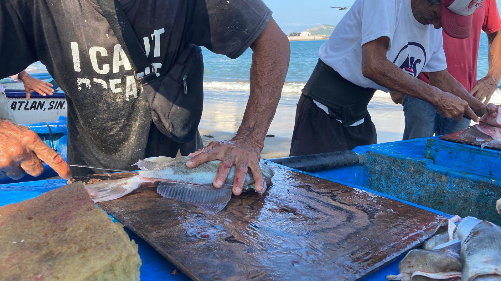 $!Vendedores de pescado en Mazatlán bajan sus precios ante la poca venta en los últimos meses