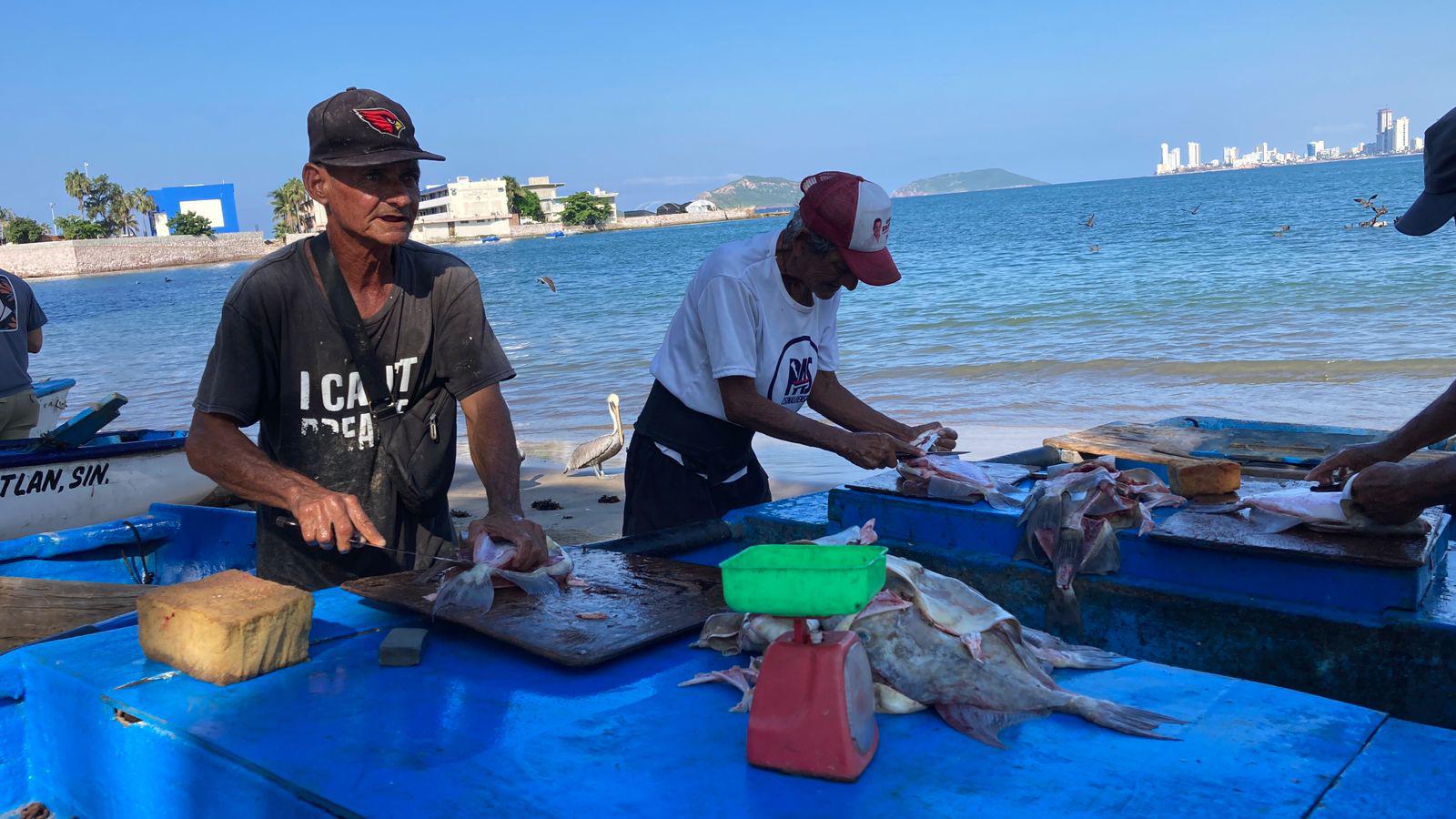 $!Vendedores de pescado en Mazatlán bajan sus precios ante la poca venta en los últimos meses