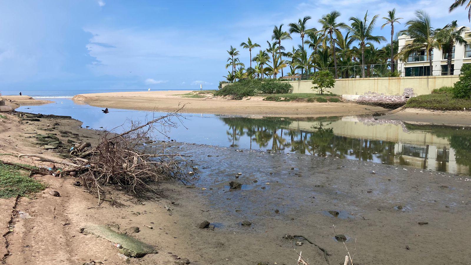 $!Marea baja en el Estero del Yugo saca a flote basura y peces muertos