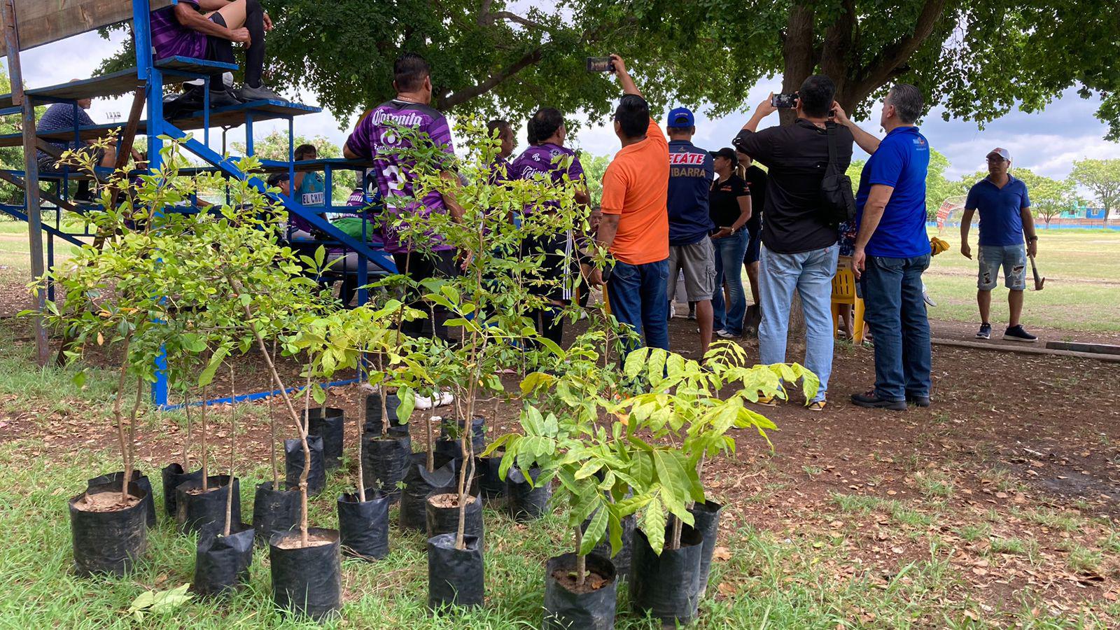 $!Donan más de 20 arbolitos al Club Muralla en pro de la reforestación de áreas verdes