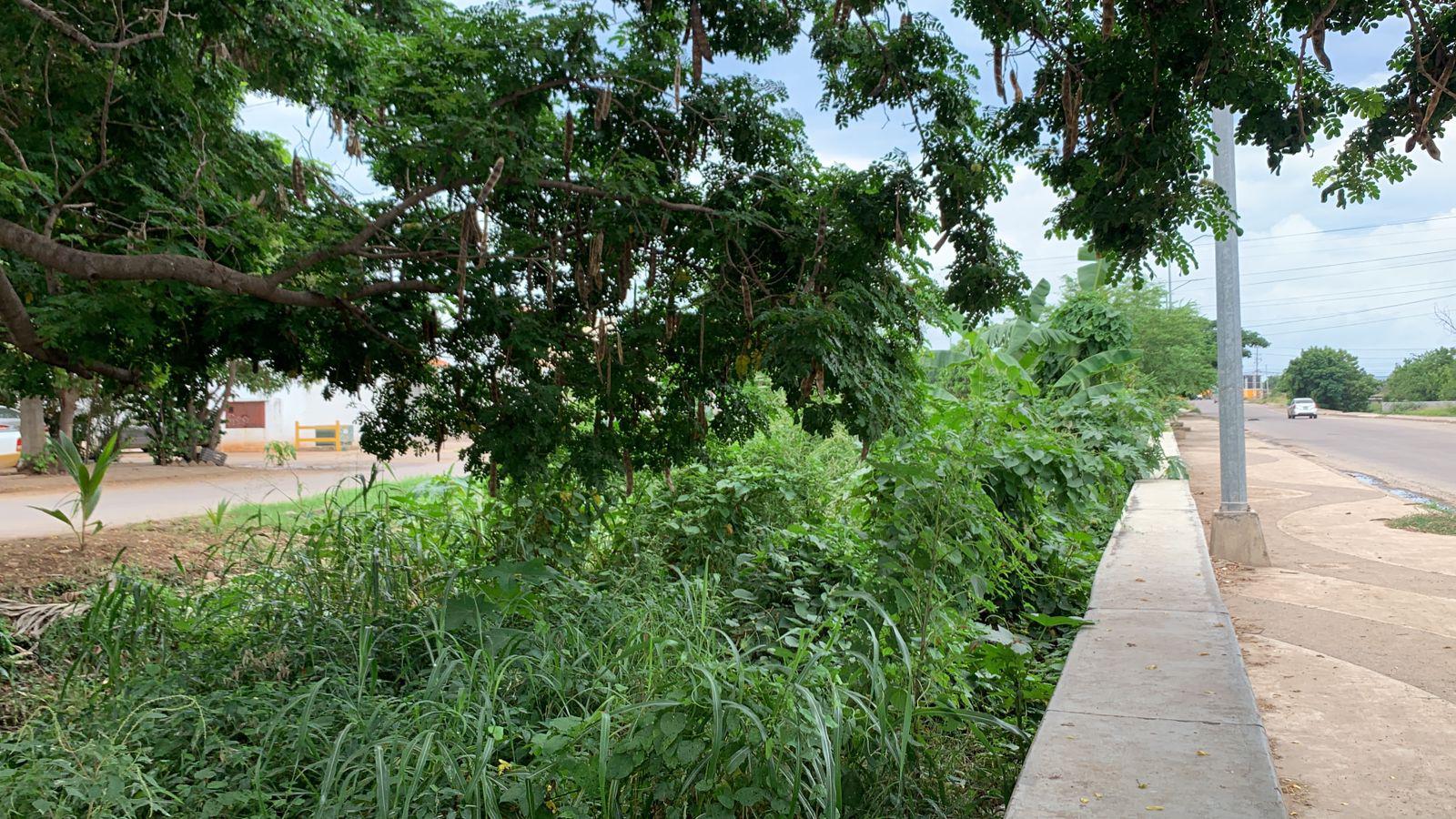 $!Aguas negras en La Foresta contaminan el arroyo Jabalines en Mazatlán