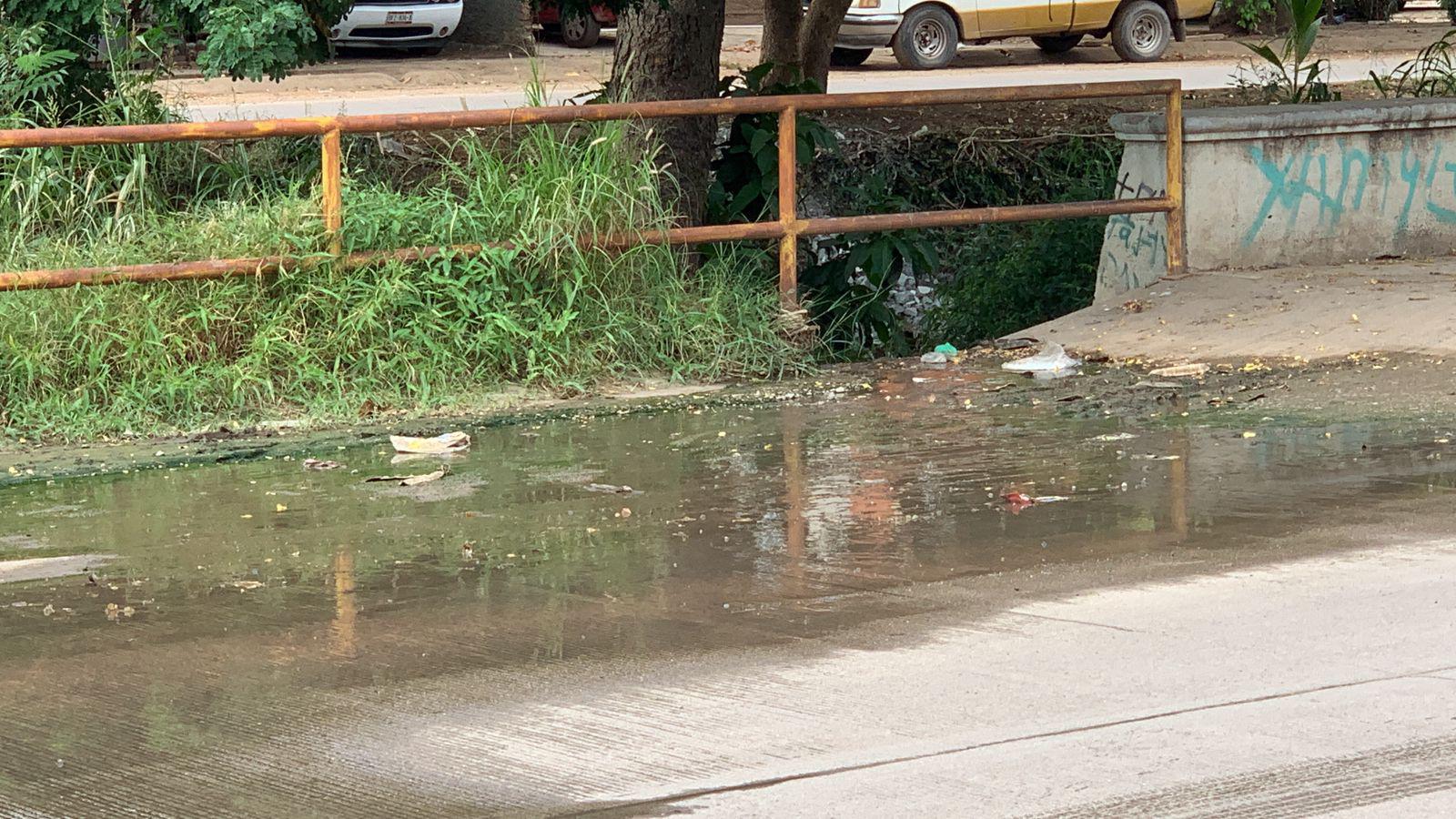 $!Aguas negras en La Foresta contaminan el arroyo Jabalines en Mazatlán