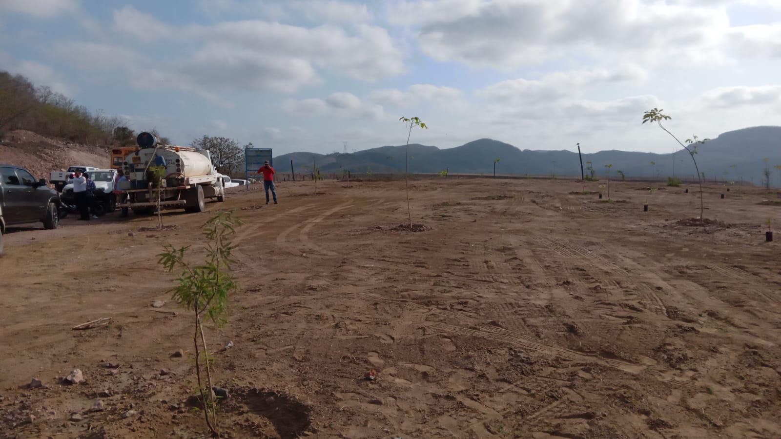 $!Celebran Día Mundial del Medio Ambiente con reforestación en área cerrada del Basurón de Mazatlán