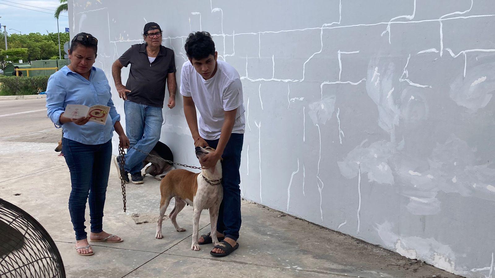 $!Realiza Cebica 100 esterilizaciones a perros y gatos en Mazatlán