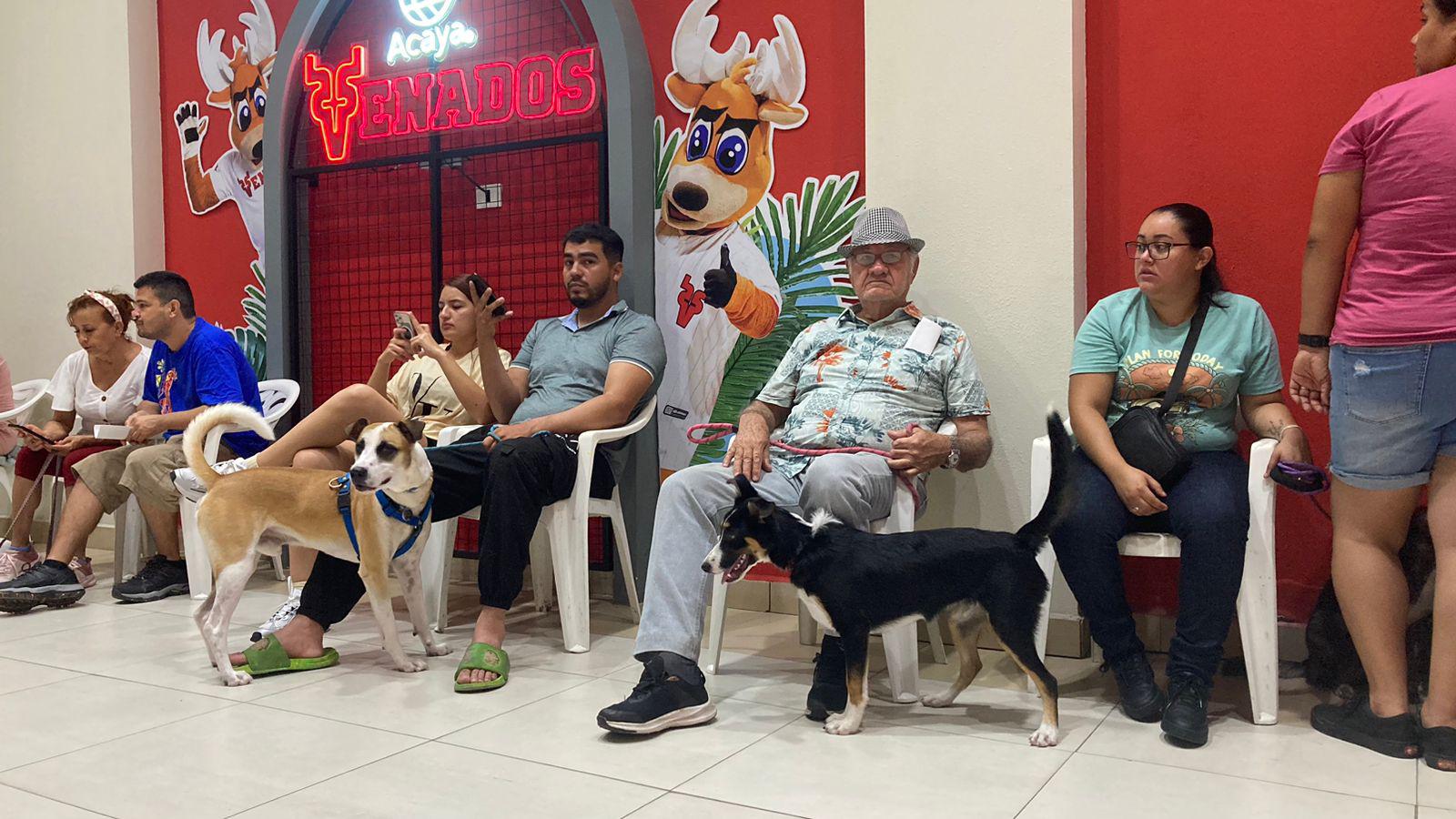 $!Realiza Cebica 100 esterilizaciones a perros y gatos en Mazatlán