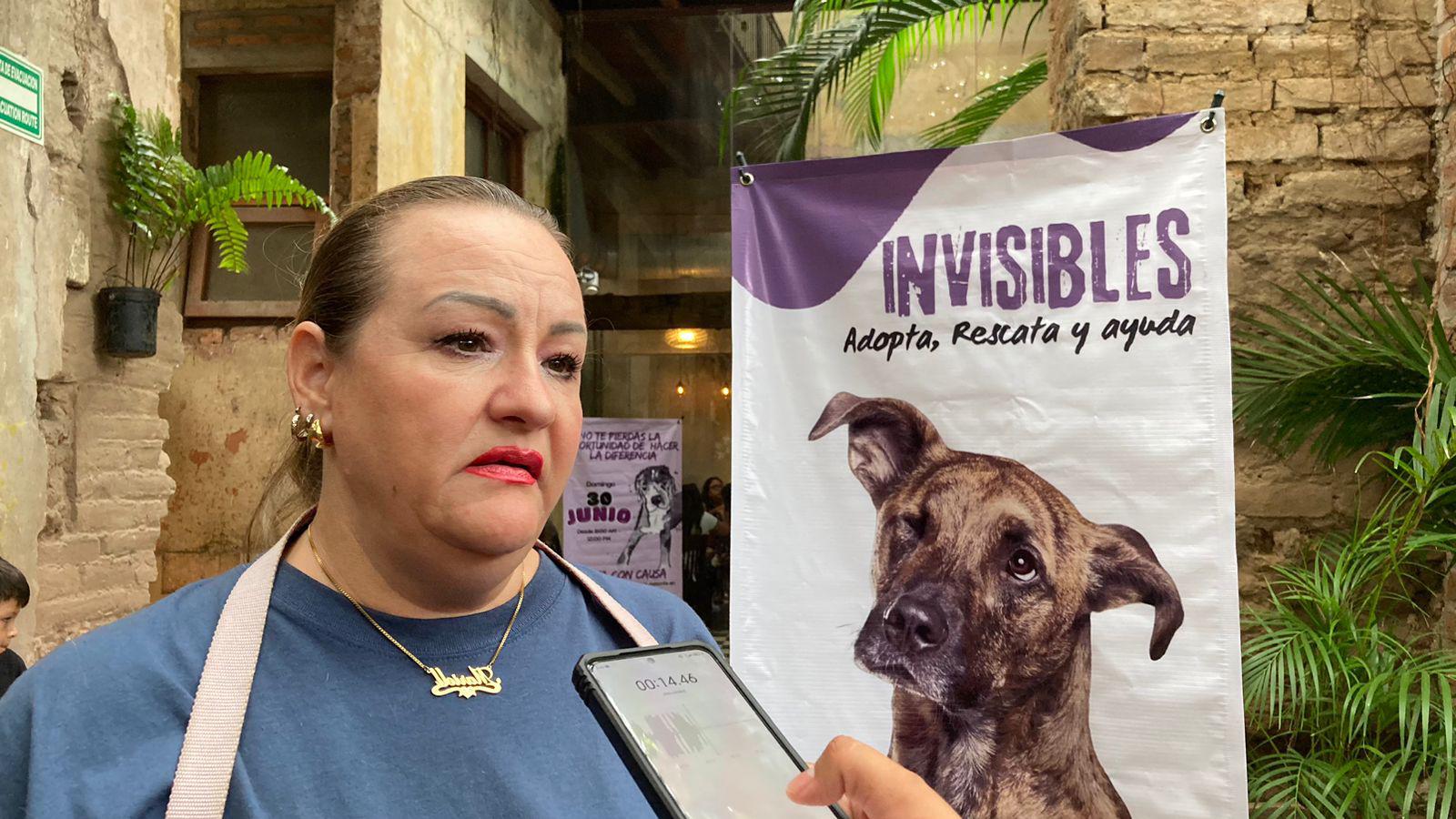 $!Acuden mazatlecos a evento ‘Pinta con causa’ de Invisibles, en apoyo a animales sin hogar