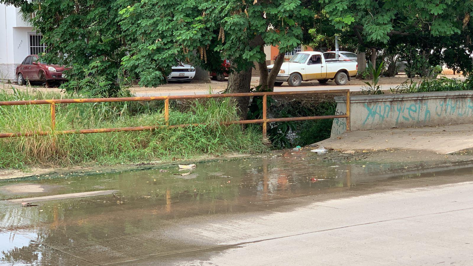 $!Aguas negras en La Foresta contaminan el arroyo Jabalines en Mazatlán