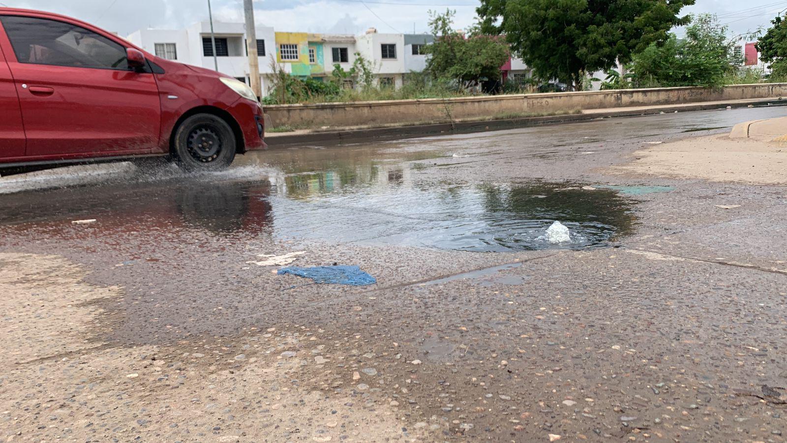 $!Aguas negras en La Foresta contaminan el arroyo Jabalines en Mazatlán