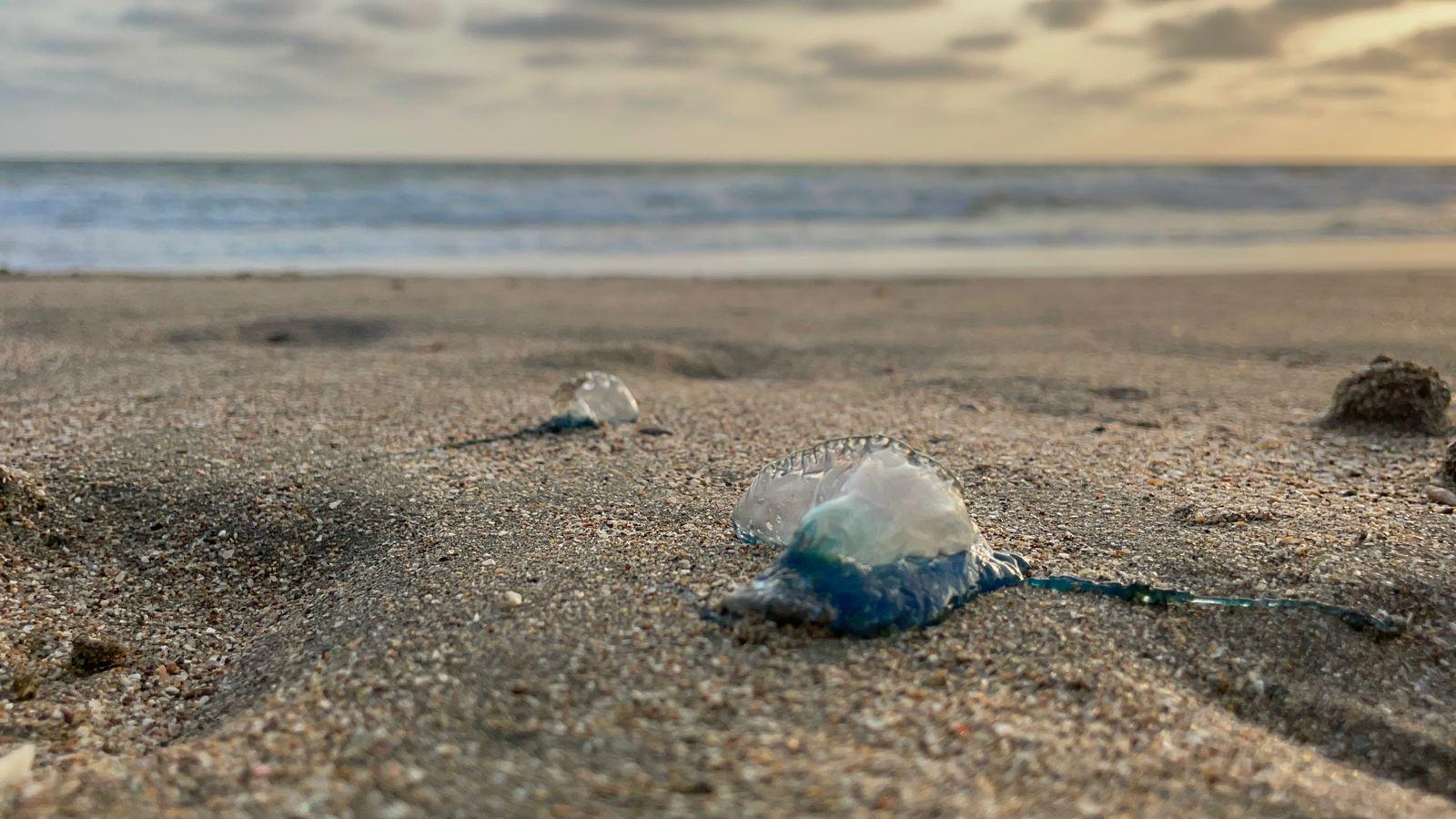 $!¡Cuidado!; hay quemadores en las playas de Mazatlán