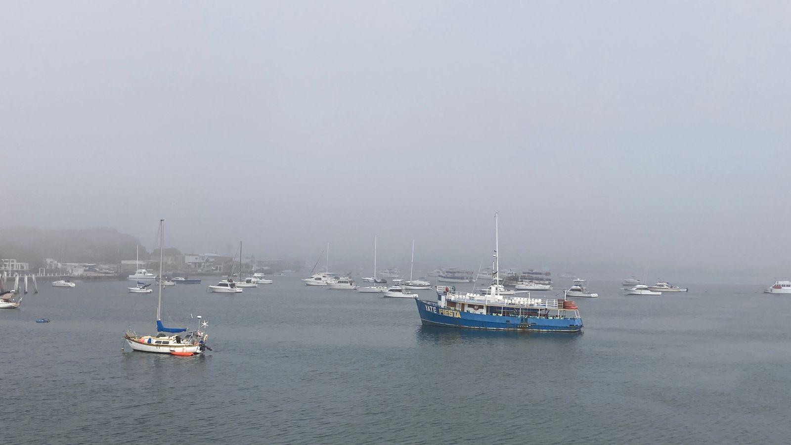 $!Cubre banco de neblina parte de Mazatlán