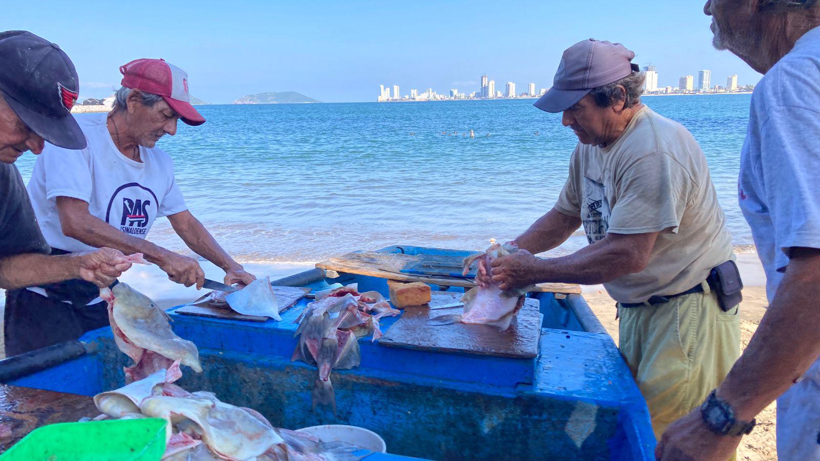 $!Vendedores de pescado en Mazatlán bajan sus precios ante la poca venta en los últimos meses