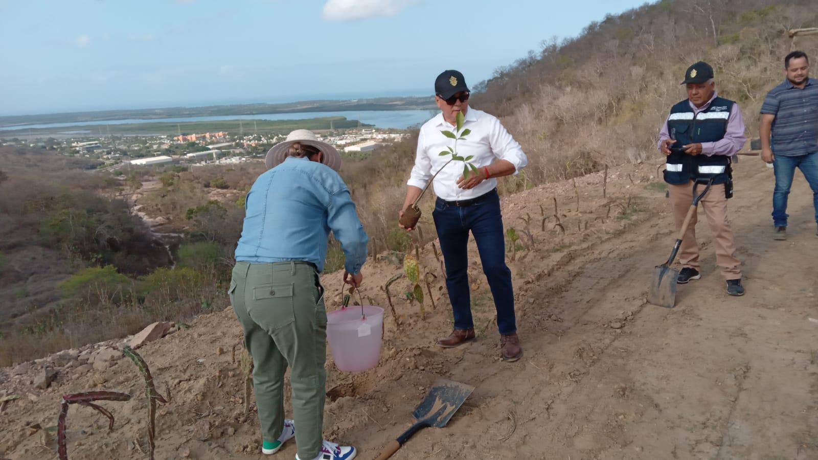 $!Celebran Día Mundial del Medio Ambiente con reforestación en área cerrada del Basurón de Mazatlán