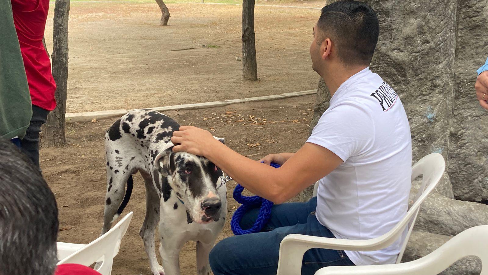 $!¡Adopta un lomito! Celebran campaña de adopción y esterilización ‘Huellitas del Bienestar’