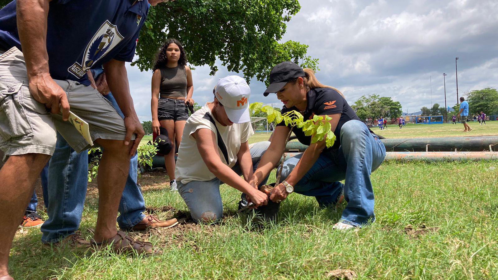 $!Donan más de 20 arbolitos al Club Muralla en pro de la reforestación de áreas verdes