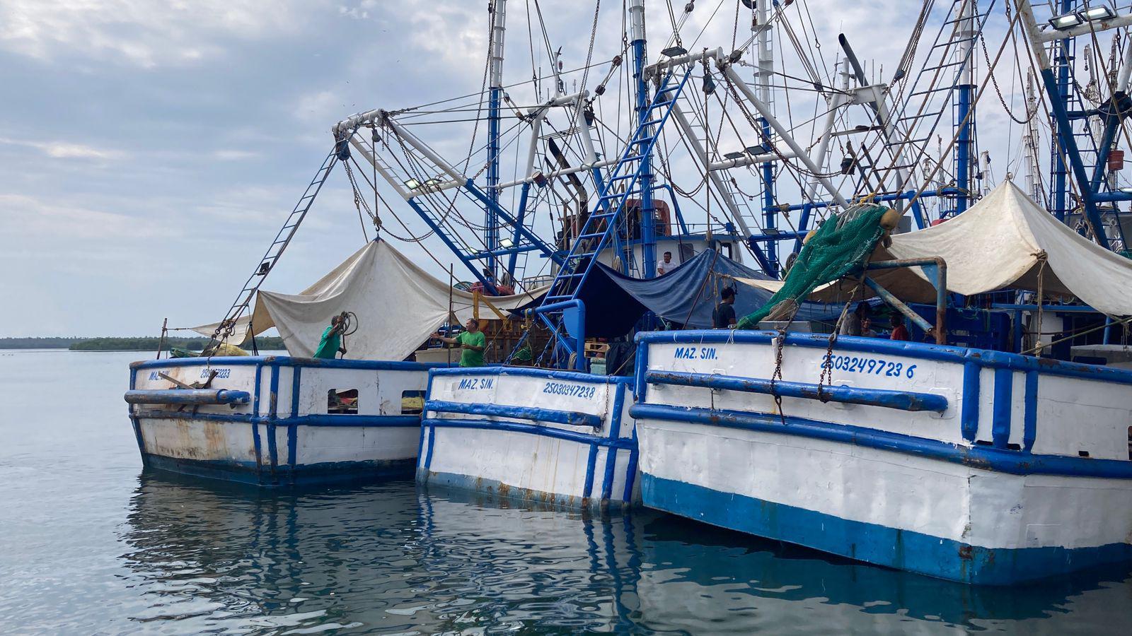 $!Menos del 50% de la flota camaronera de Mazatlán zarpará por falta de recursos