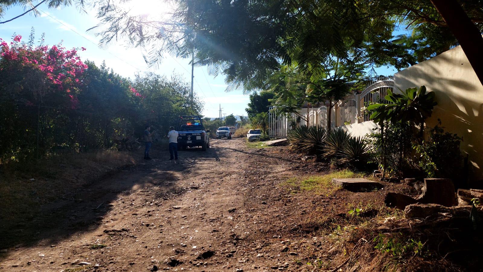 $!Enjambre de abejas ataca a varias personas en la Colonia El Barrio, en Culiacán