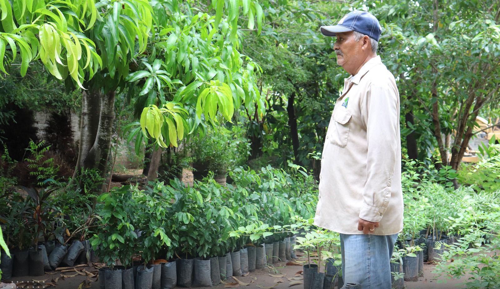 $!Dona Gobierno Estatal 2000 plantas para embellecer Escuinapa