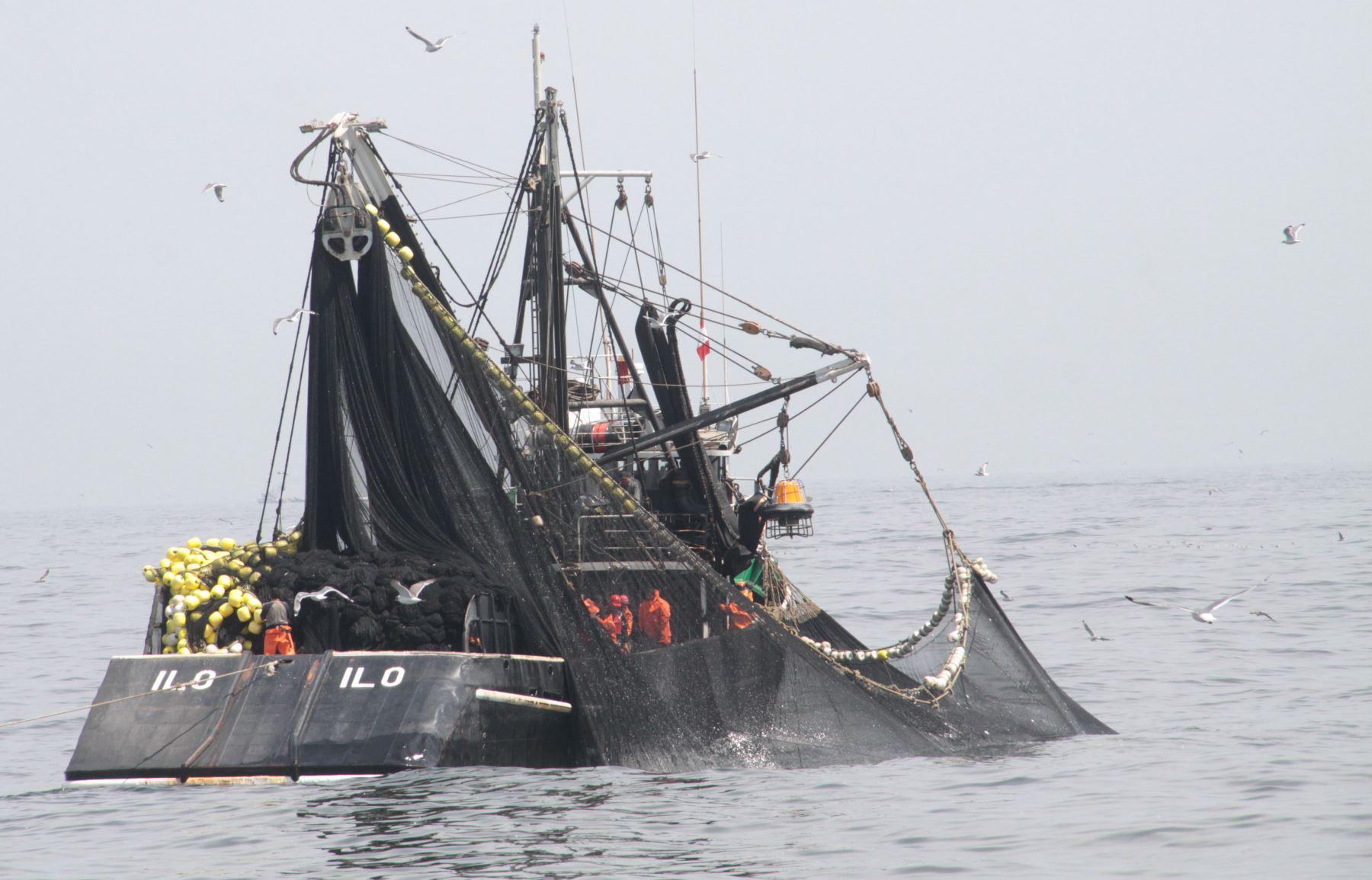 $!La sobrepesca es uno de los problemas que más impacta en las poblaciones de especies marinas.