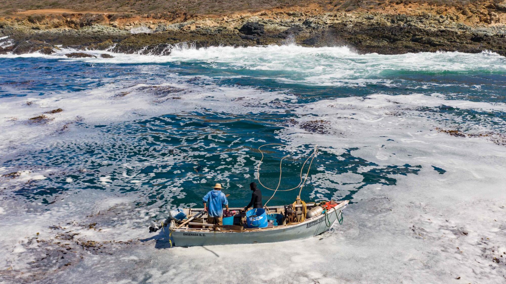 $!La pesca es una de las actividades productivas afectadas por el calentamiento del mar.