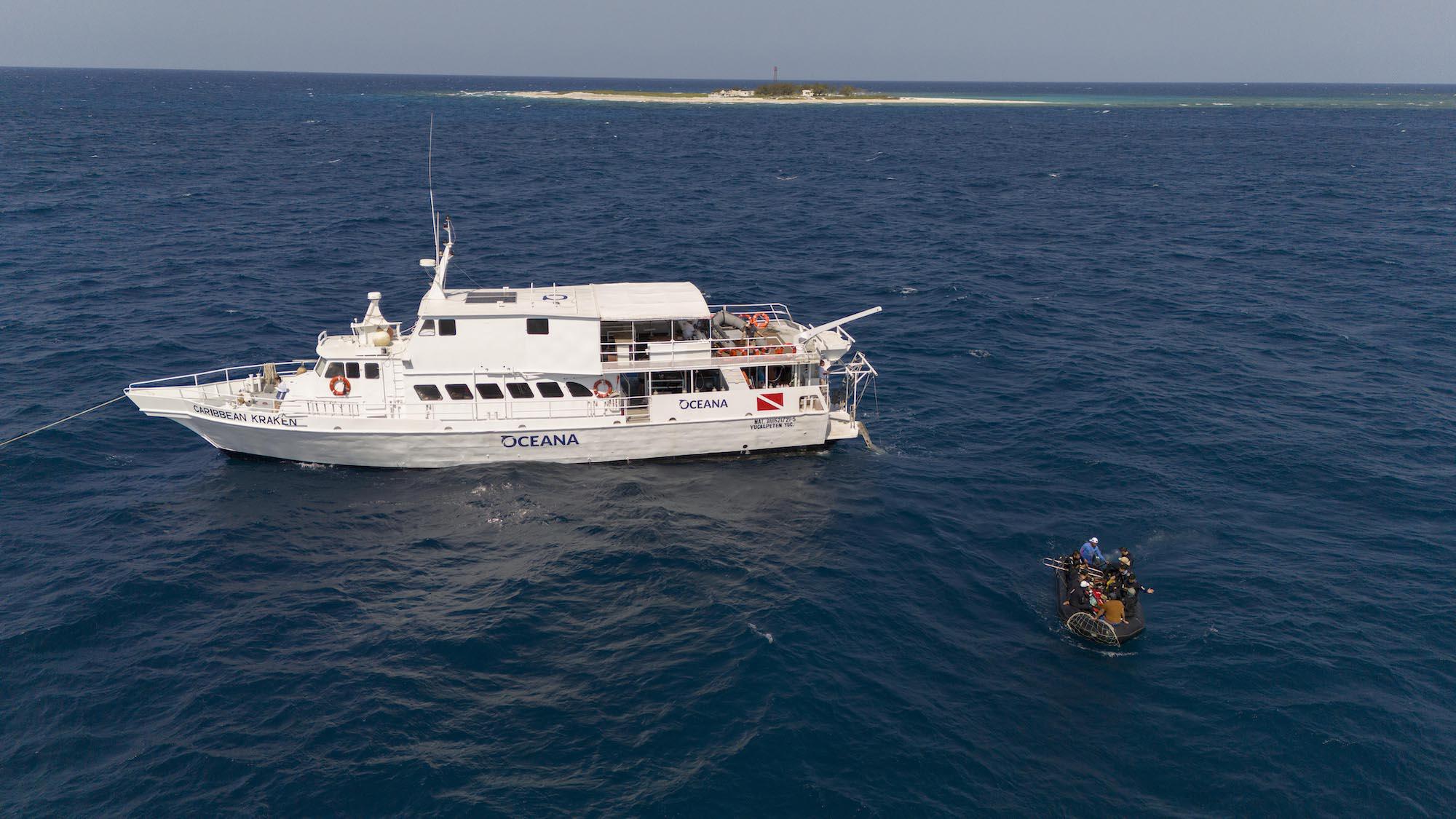 $!Científicos descubren monumentales arrecifes de coral en el Golfo de México