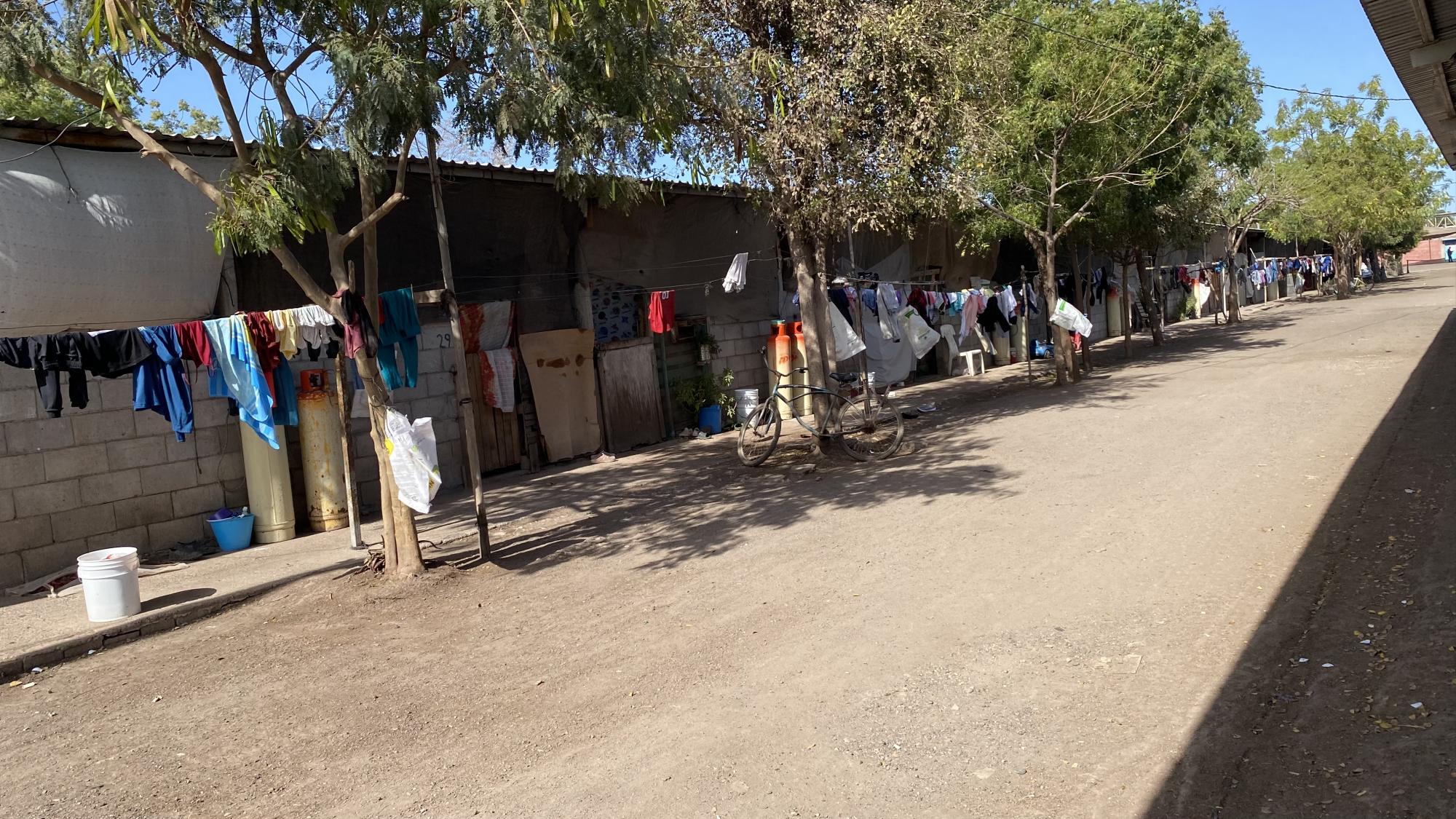 $!‘Prácticamente nos esclavizó’: mujeres migrantes agrícolas hacen frente a injusticias