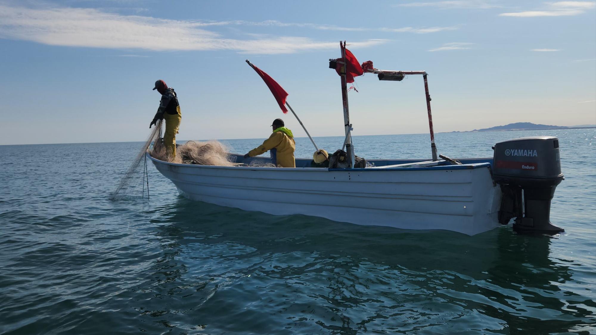 $!Pesca ilegal en el Alto Golfo.