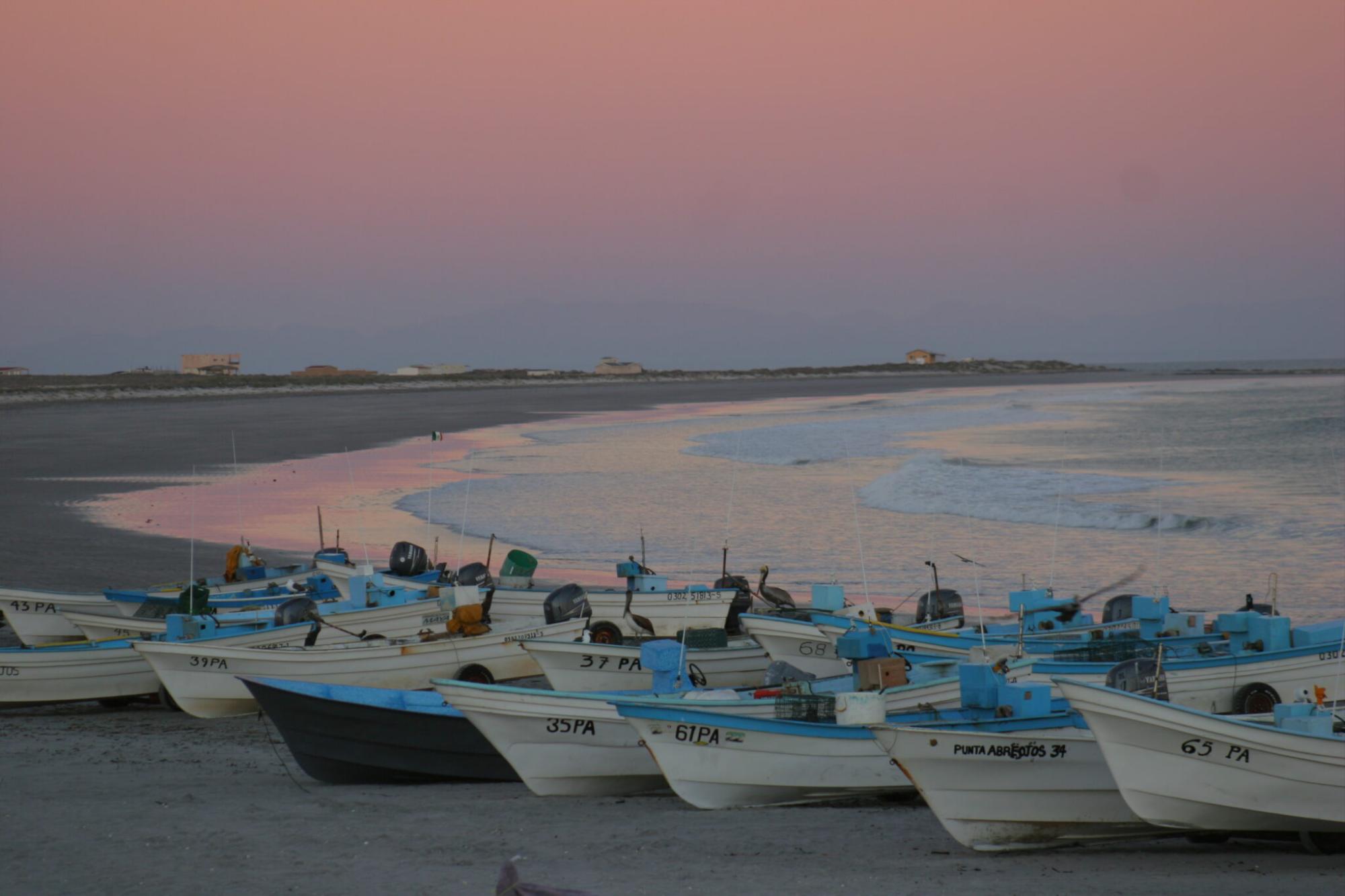 $!Las olas de calor marinas impactan gravemente a las pesquerías locales de Baja California, México