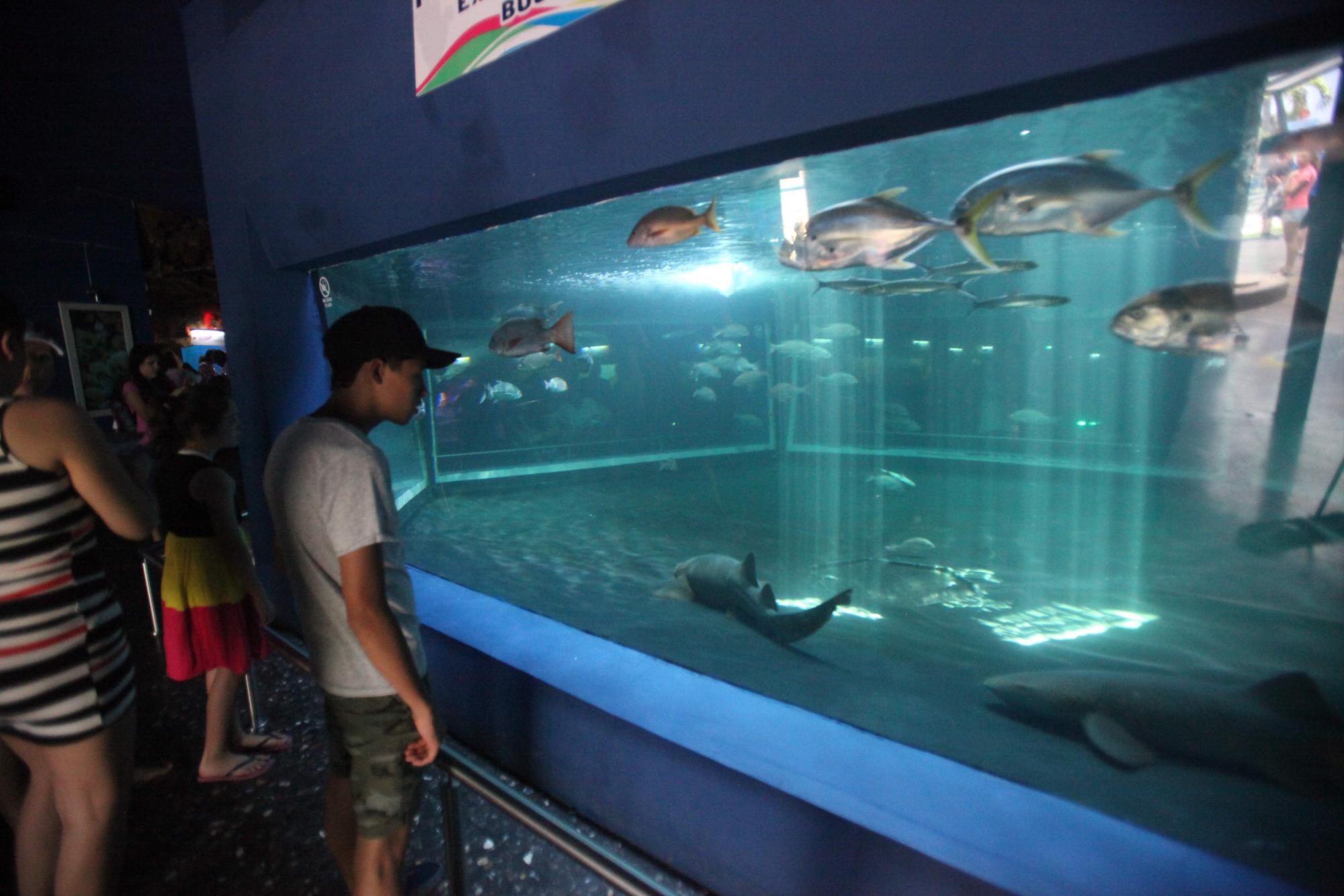 $!Acuario Mazatlán alista su cierre tras 42 años siendo el sitio más visitado de Mazatlán