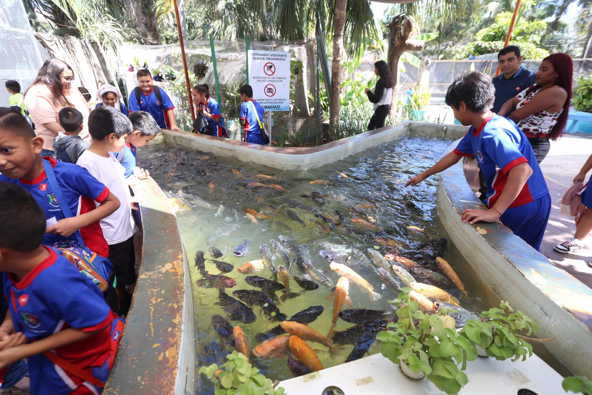 $!Acuario Mazatlán alista su cierre tras 42 años siendo el sitio más visitado de Mazatlán