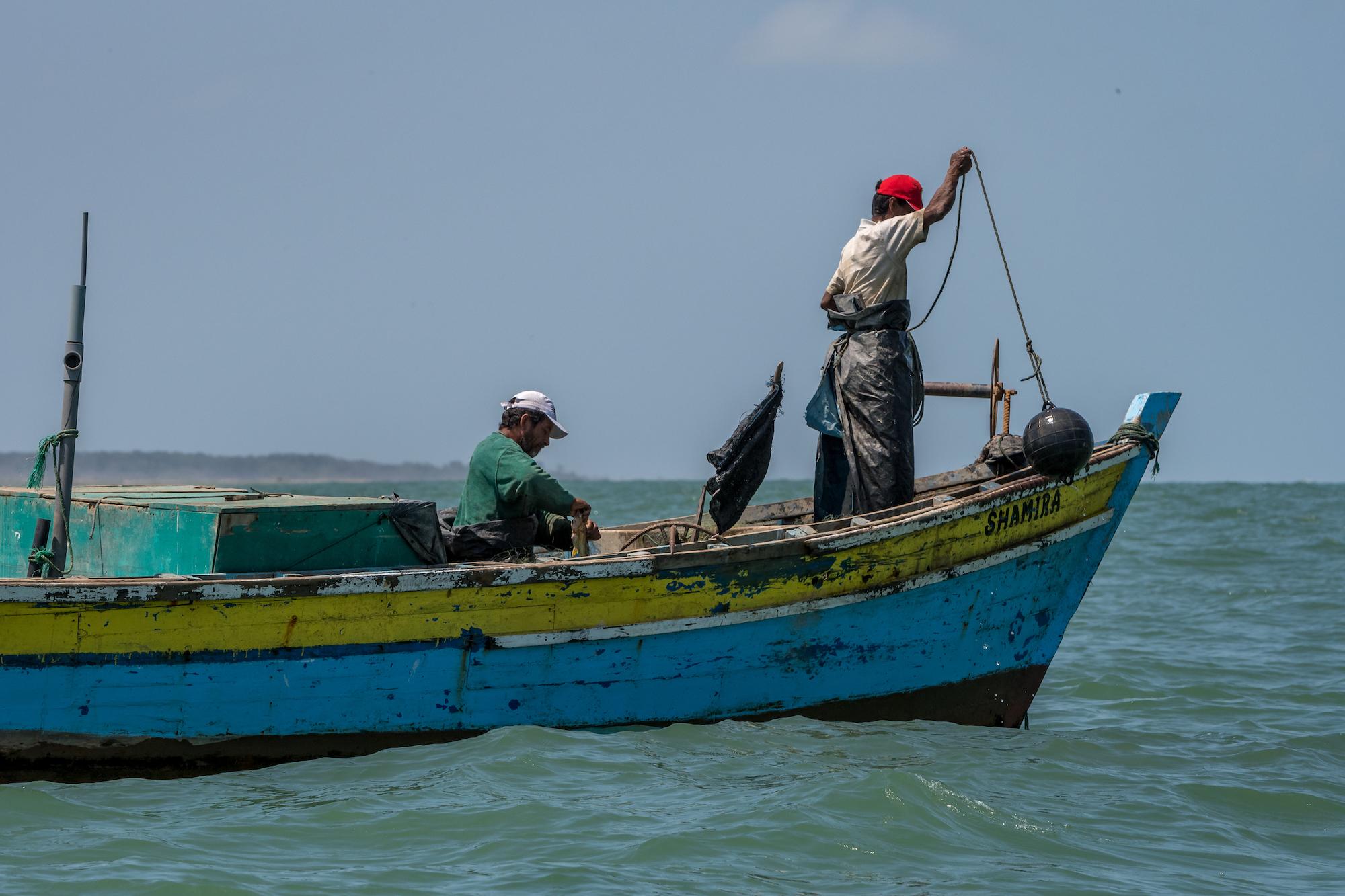 $!Expertos señalan que uno de los riesgos es la reducción de la cantidad de peces en el mar.