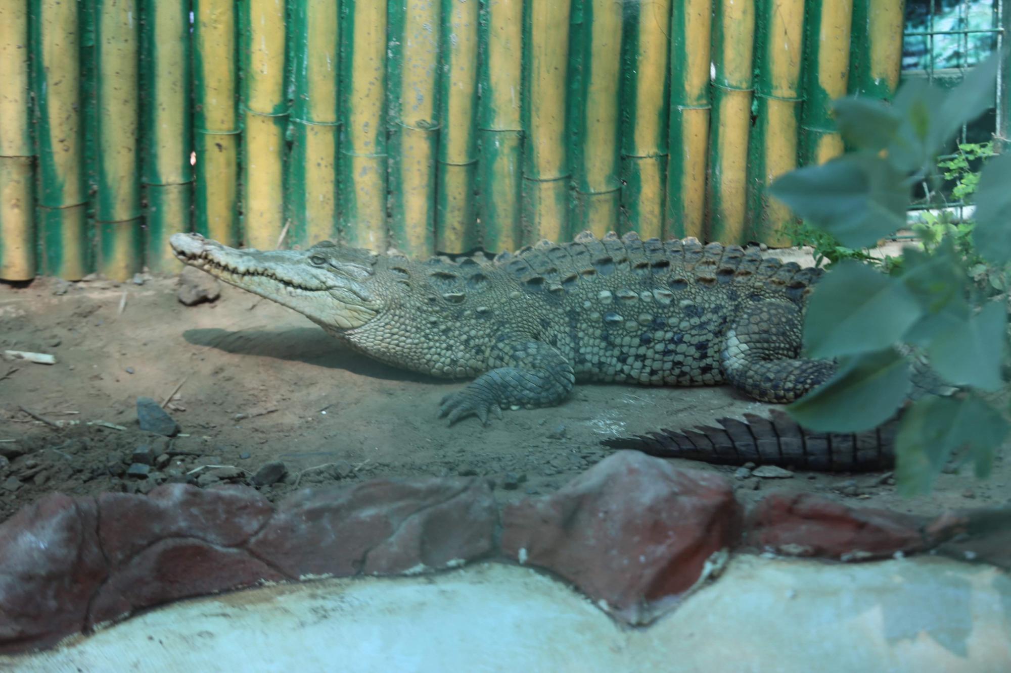 $!Acuario Mazatlán alista su cierre tras 42 años siendo el sitio más visitado de Mazatlán