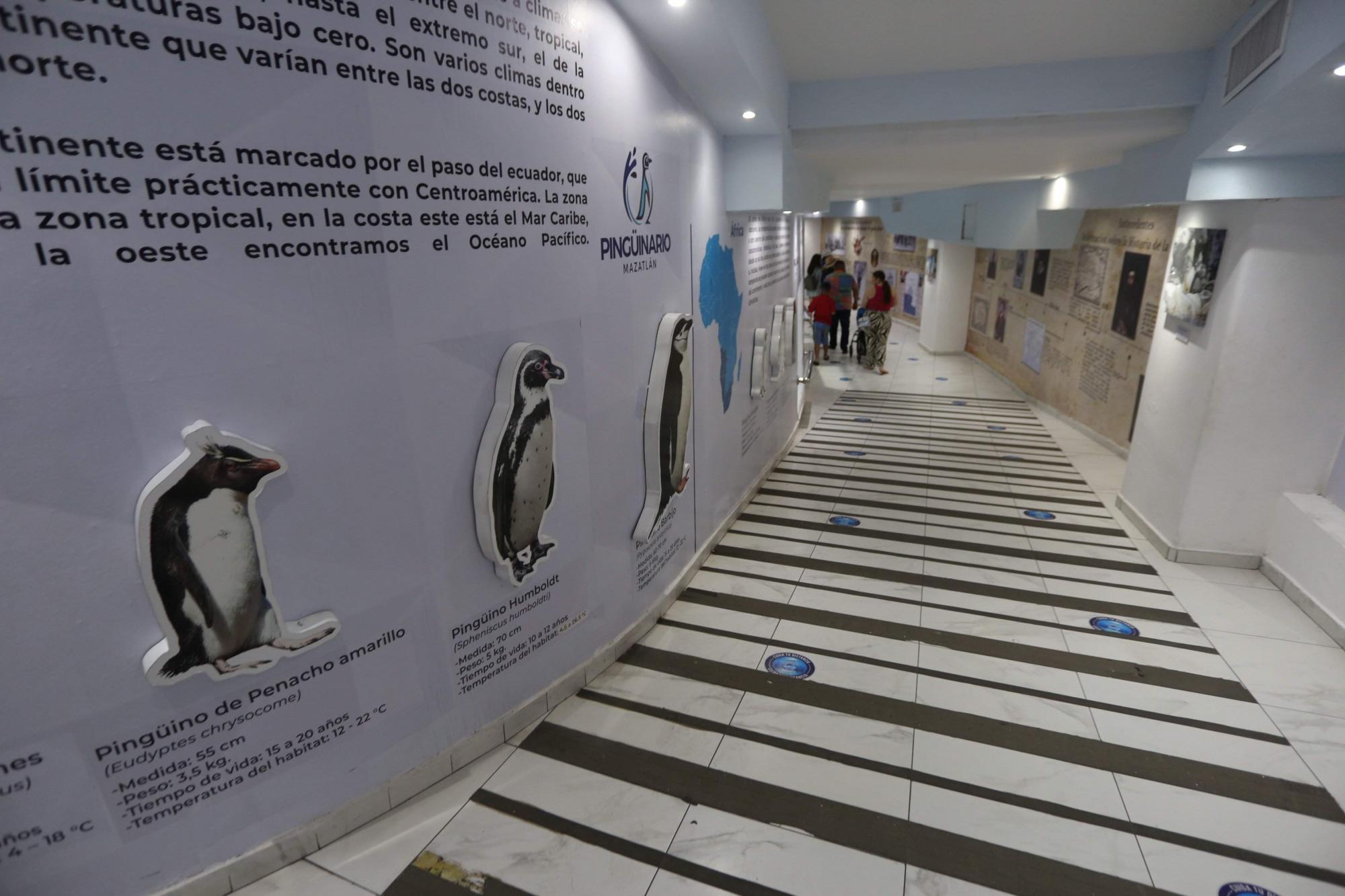 $!Acuario Mazatlán alista su cierre tras 42 años siendo el sitio más visitado de Mazatlán