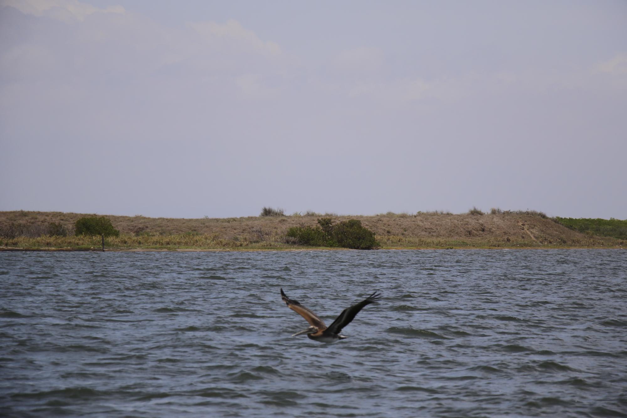 $!Comunidades costeras: la lucha por la pesca sostenible en México