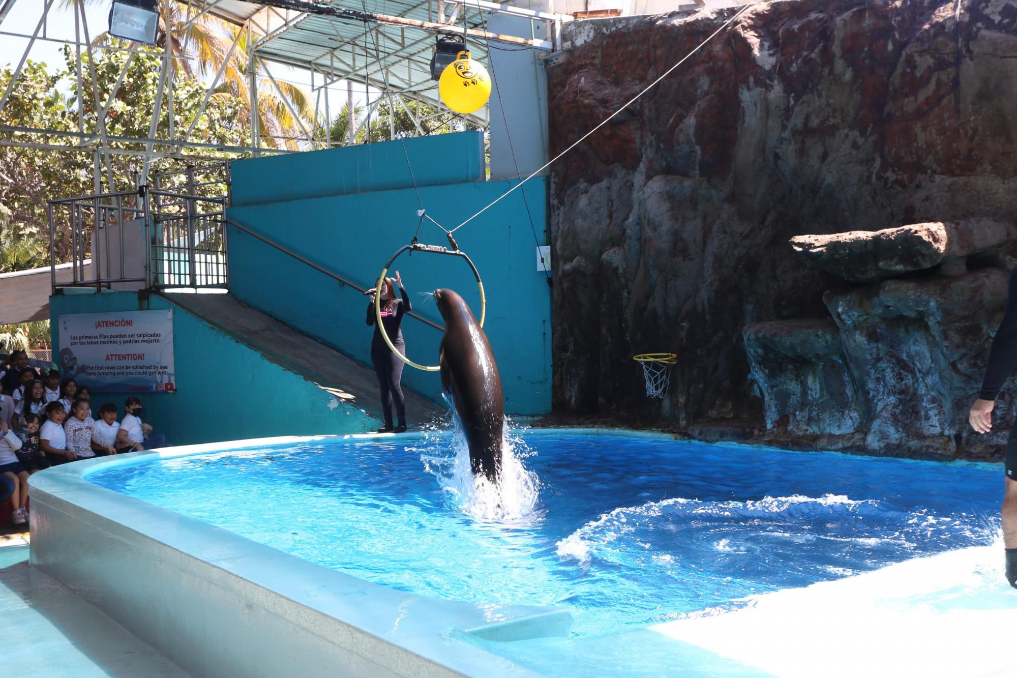 $!Acuario Mazatlán alista su cierre tras 42 años siendo el sitio más visitado de Mazatlán