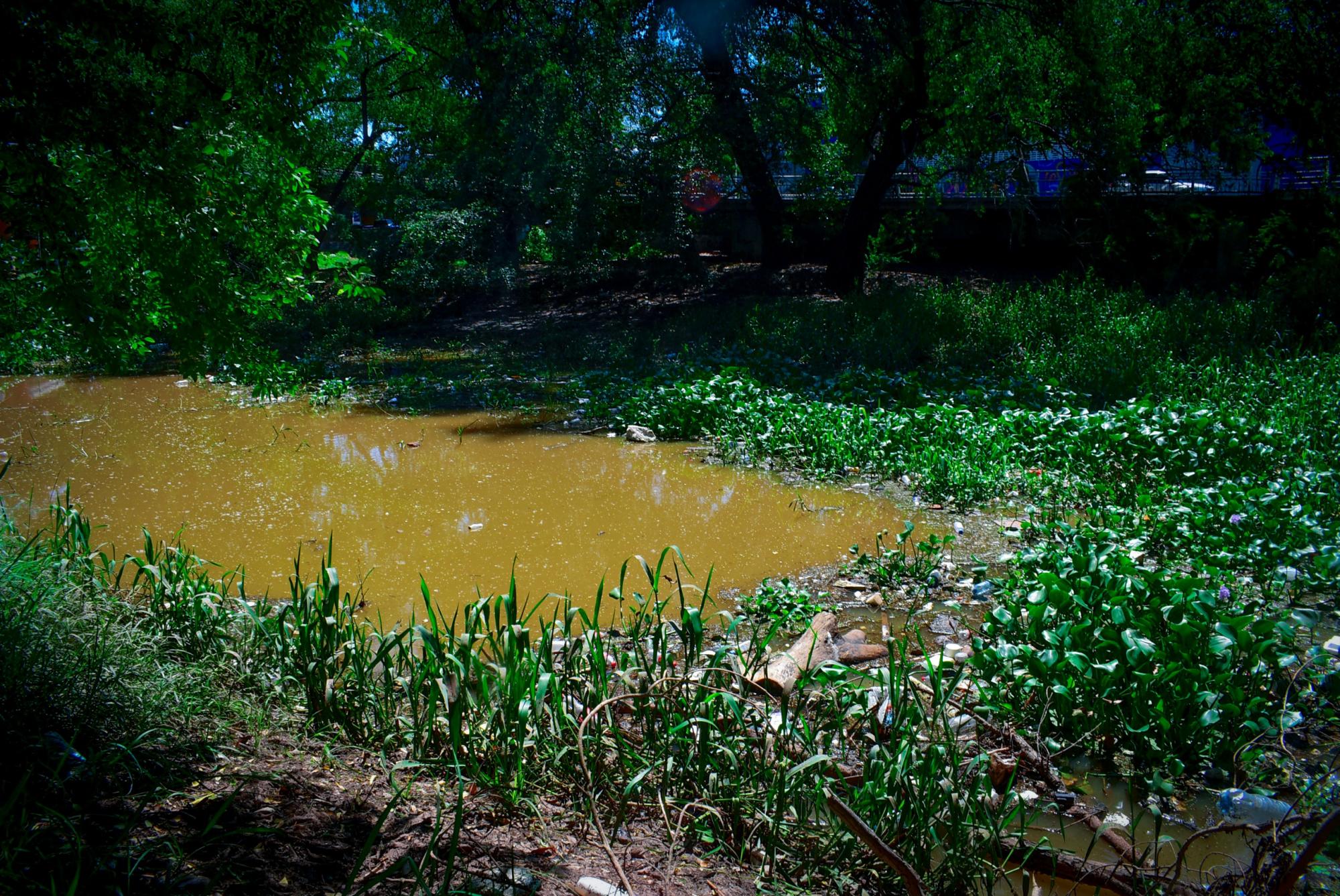 $!Acumulación de basura en el Parque Las Riberas amenaza la vida silvestre del lugar