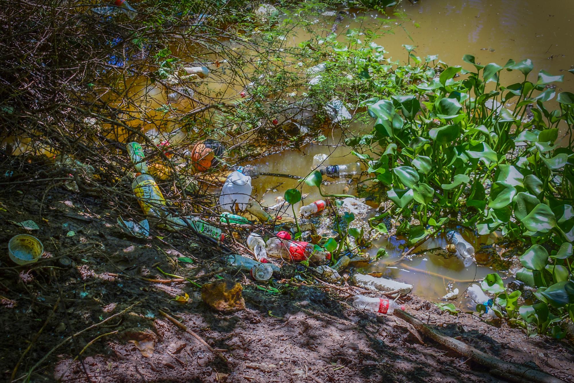 $!Acumulación de basura en el Parque Las Riberas amenaza la vida silvestre del lugar