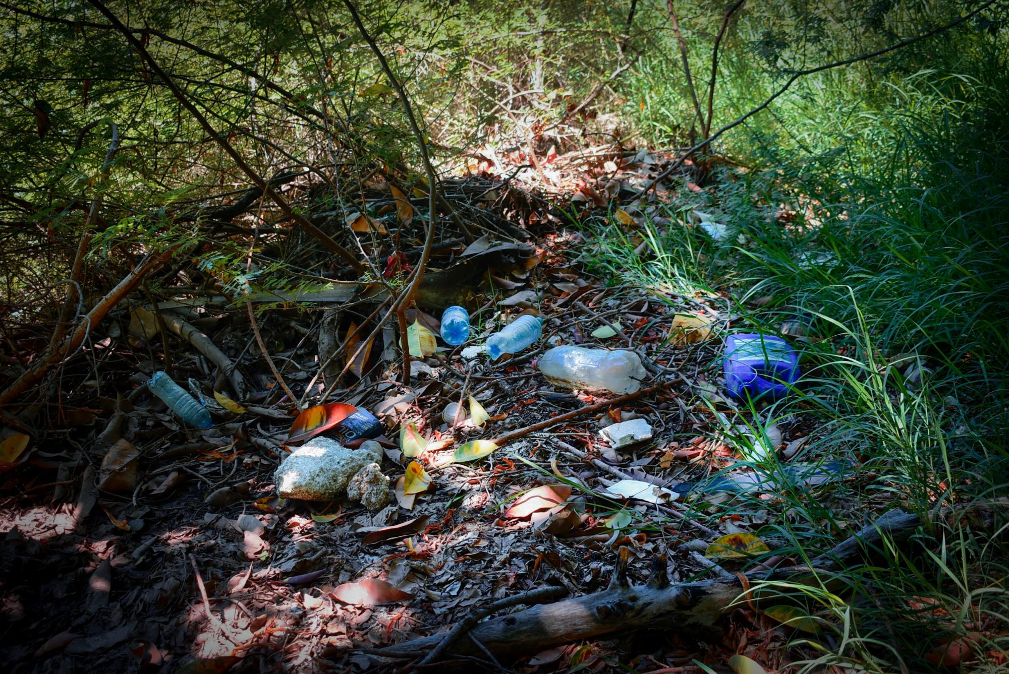 $!Acumulación de basura en el Parque Las Riberas amenaza la vida silvestre del lugar