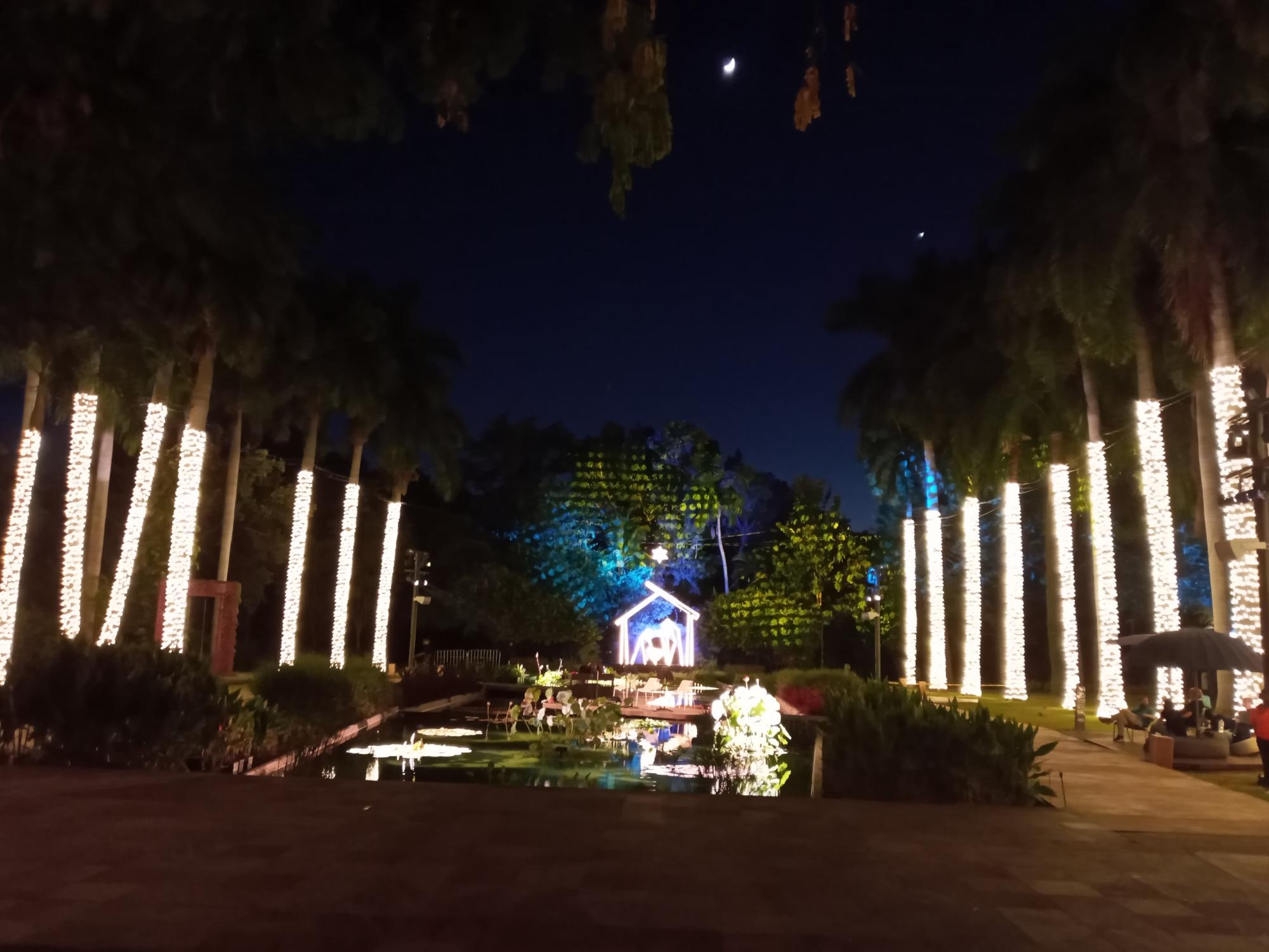 $!Se ilumina de Navidad el Jardín Botánico de Culiacán por sus 35 años