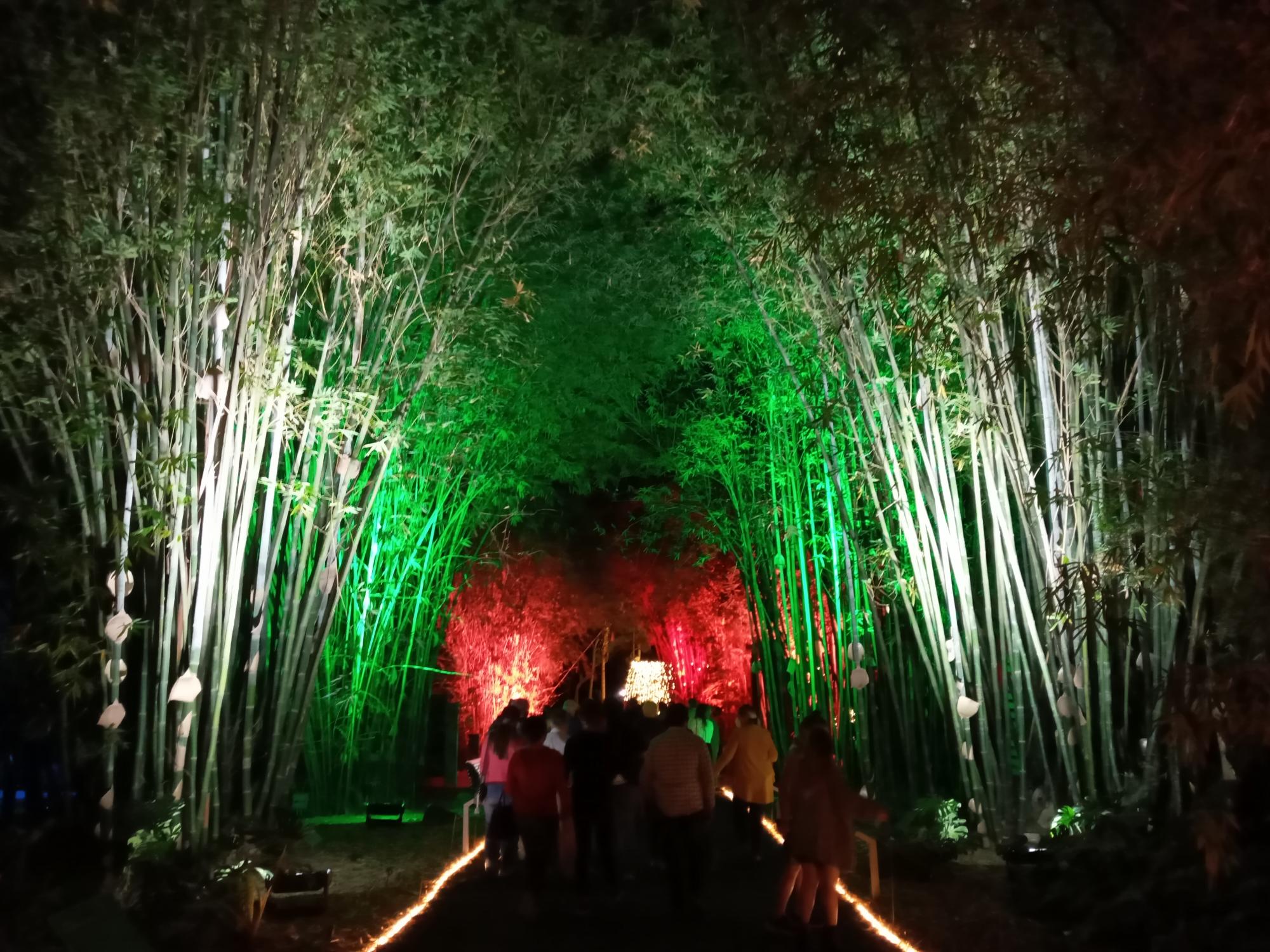 $!Se ilumina de Navidad el Jardín Botánico de Culiacán por sus 35 años