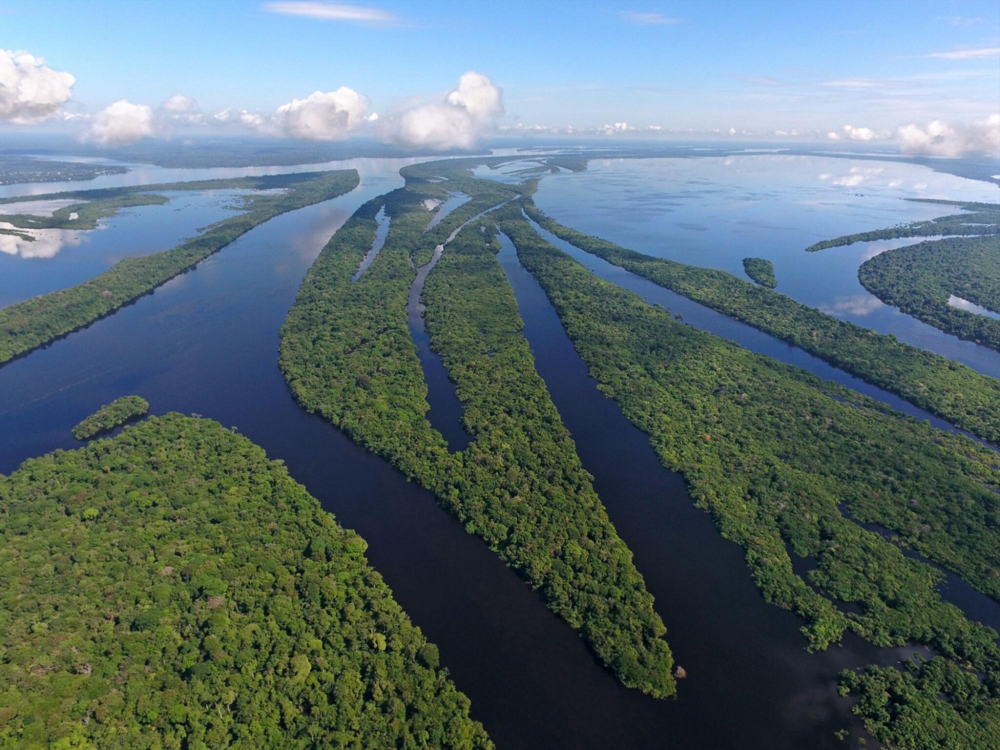 $!¿Qué le espera al medioambiente con la elección de Donald Trump en Estados Unidos?