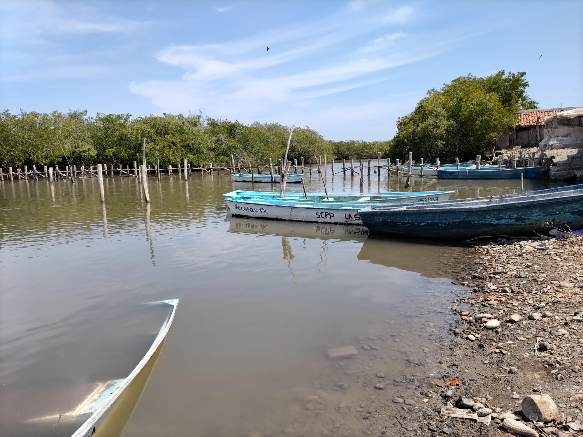 $!En 20 años, pescadores de El Huizache no habían tenido repunte de 400 toneladas