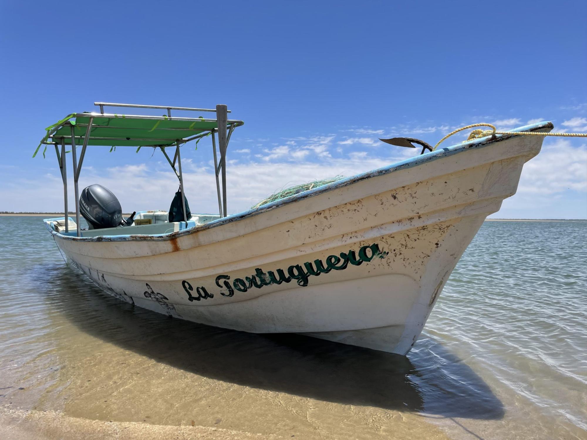 $!Los Becerra, ex pescadores que hoy monitorean y rescatan tortugas marinas en el noroeste de México