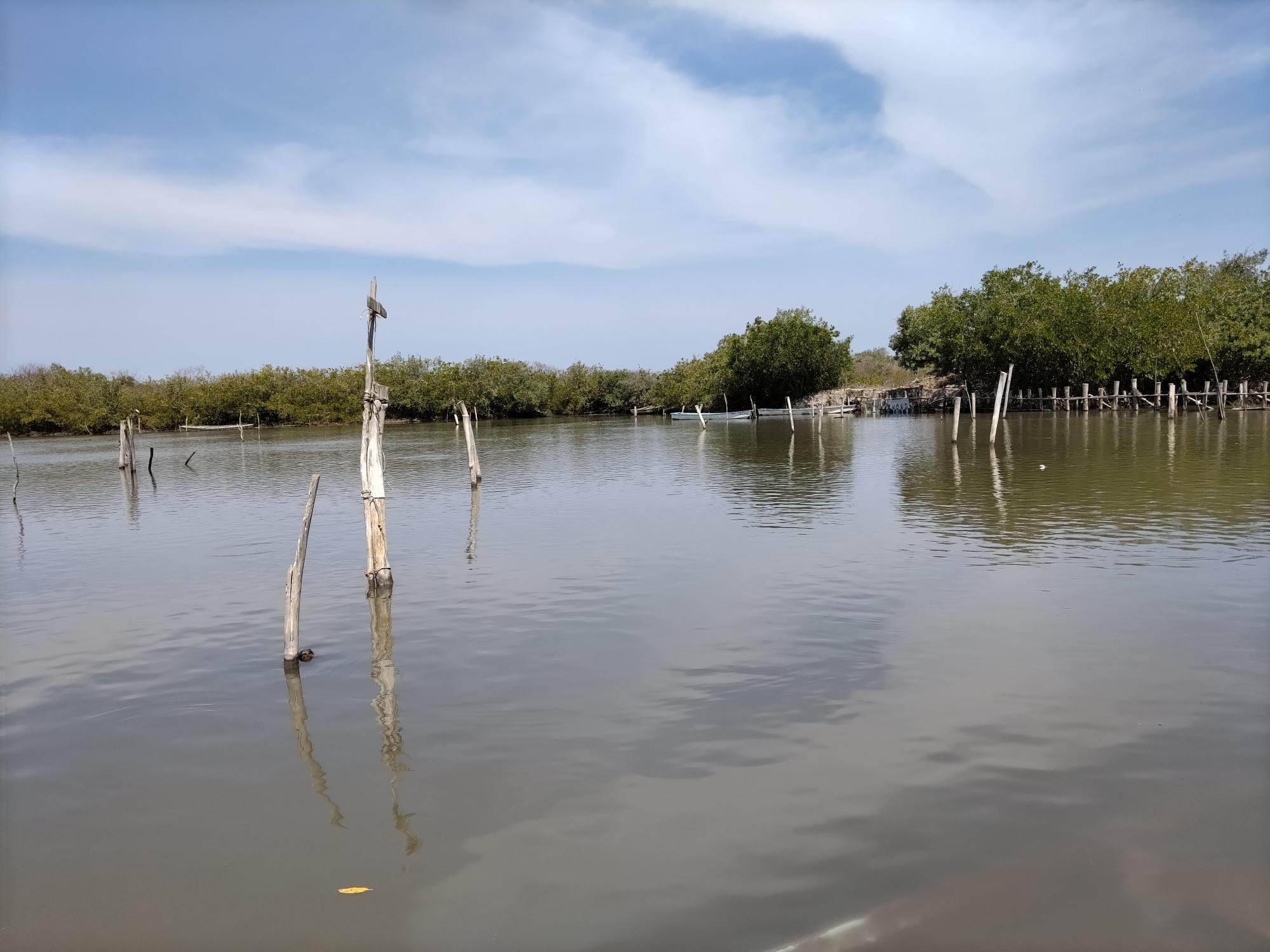 $!En 20 años, pescadores de El Huizache no habían tenido repunte de 400 toneladas