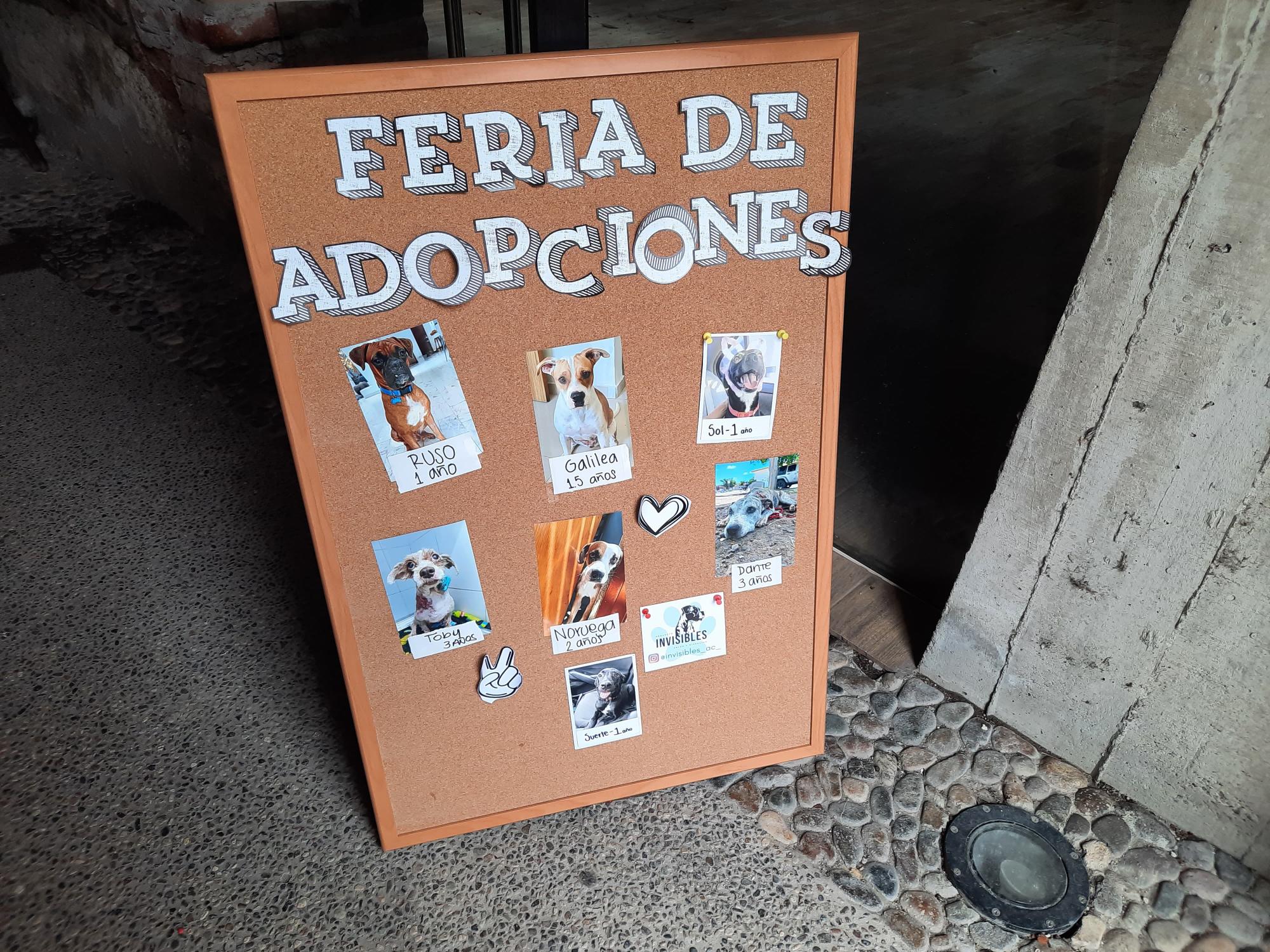 $!Invitan en Mazatlán a adoptar mascotas, no comprarlas