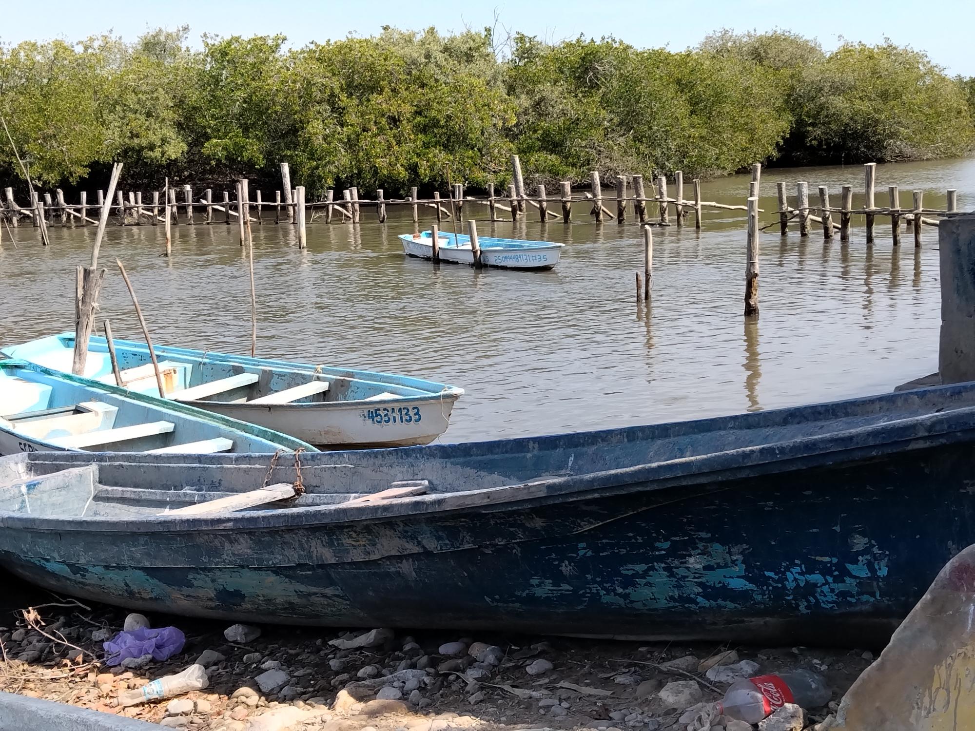 $!En 20 años, pescadores de El Huizache no habían tenido repunte de 400 toneladas