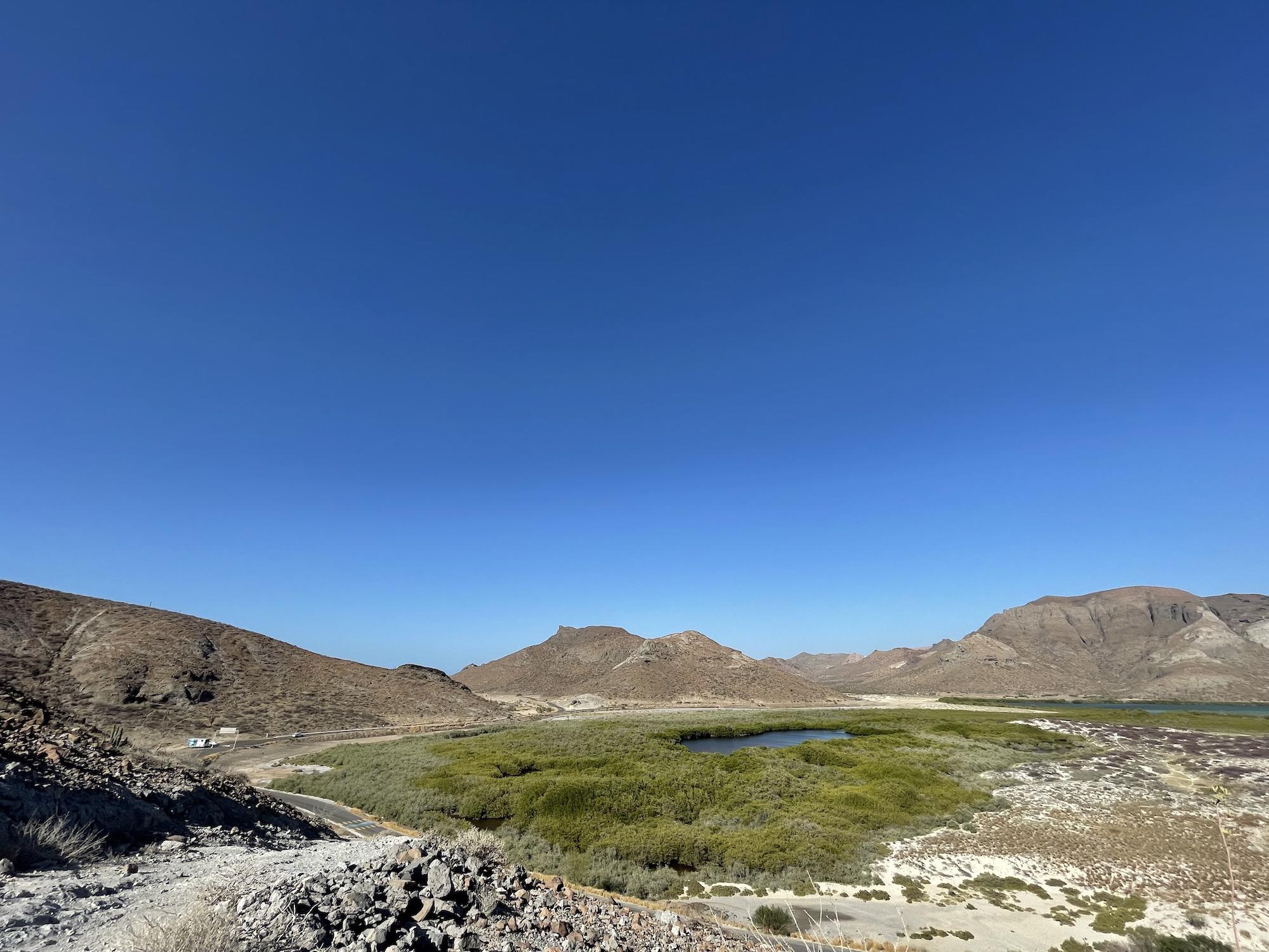 $!Los manglares del Área de Protección de Flora y Fauna Balandra