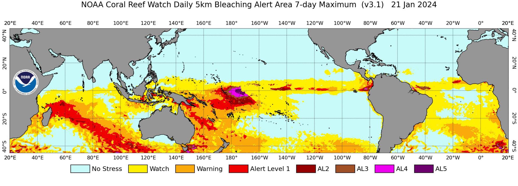 $!Establecen tres nuevos niveles de alerta por blanqueamiento de arrecifes de coral