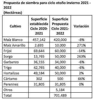 Reducen superficie de siembra para el ciclo OI 2021-2022