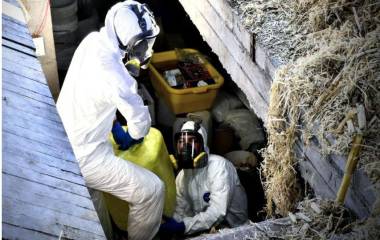 Elementos del Ejército desmantelan un laboratorio de drogas subterráneo.