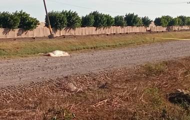 Se desconoce si la víctima murió por ahogamiento.